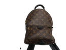 Louis Vuitton Pm Palm Springs Mini Backpack Brown Backpack / Briefcase / Bag