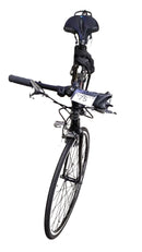 Trek Pilot 1.0 Black Cruiser Bike