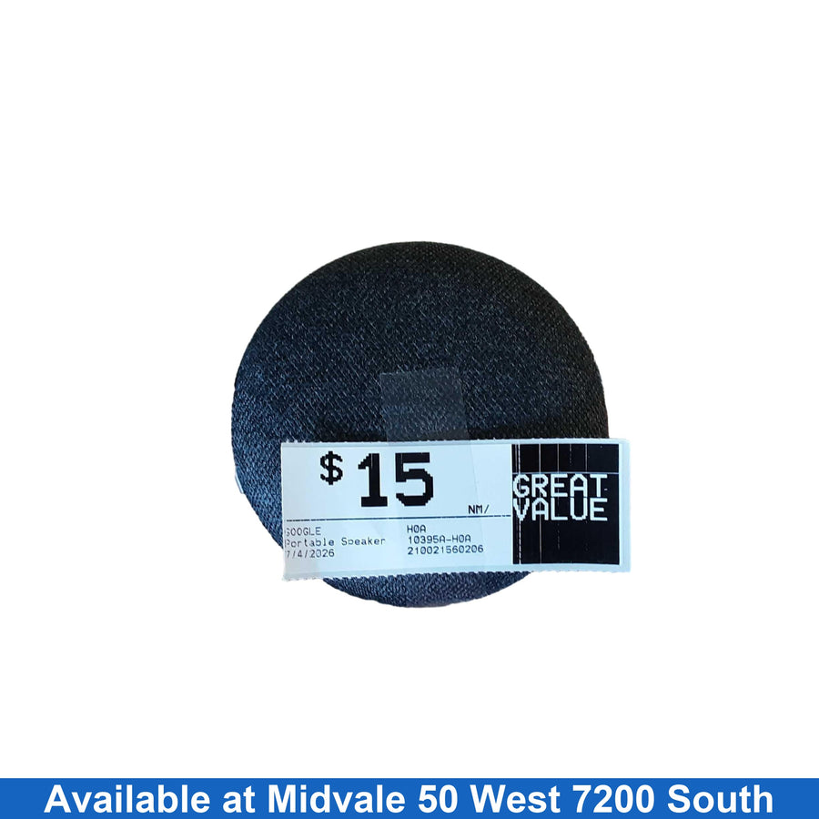 Google H0a Gray Portable Speaker