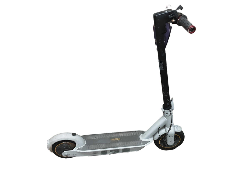 Ninebot G30lp Gray Electric Scooter