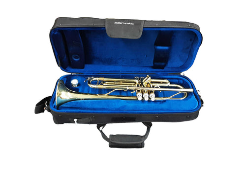 Anitga 2560 Gold Trumpet