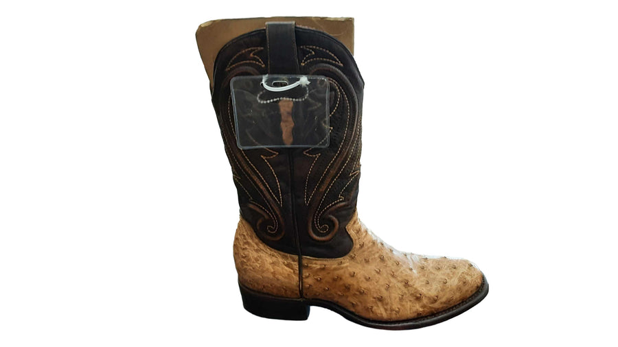 Montana 27899 Brown