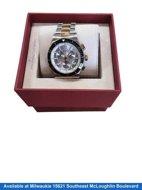 Salvatore Ferragamo 1989 Silver Regular Watch