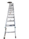 Werner Silver Extension Ladder