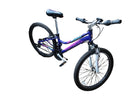 Schwinn Ranger Purple Mountain Bike