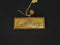 Coin Pendant Yellow Gold 10k (.417) 7.3 grams