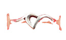 James Avery Script Initial Ring Silver Other Collectible