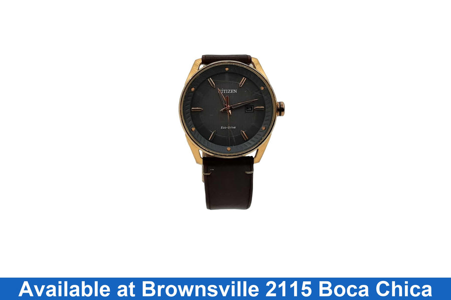 Citizen E111-s108675 Gold Regular Watch