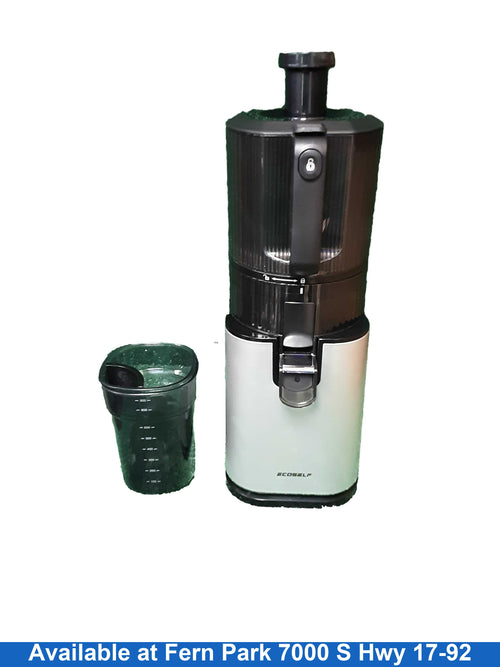 J6 Slow Juicer J6 Silver Small Kitchen Appliance