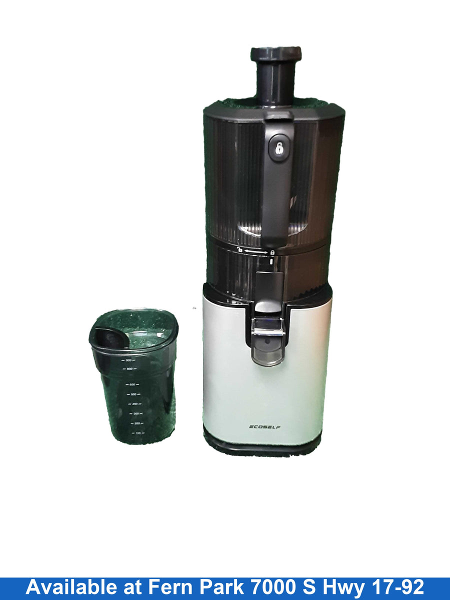 J6 Slow Juicer J6 Silver Small Kitchen Appliance