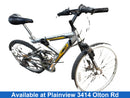 Next Mountain Ridge Silver Cruiser Bike