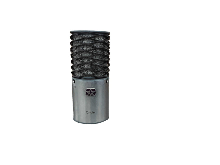 Ashton Microphones Ore00484 Black Cordless Microphone