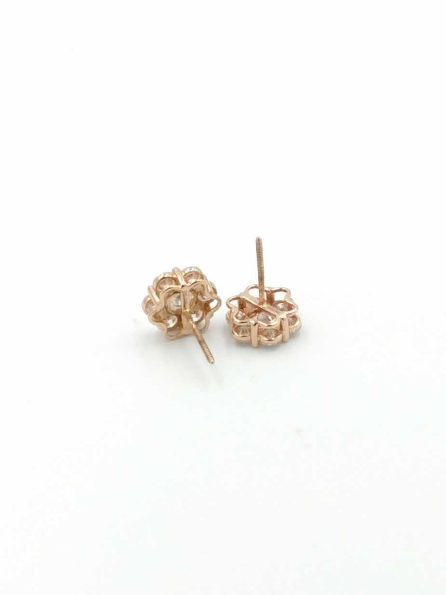 Earrings - Rose Gold 10k (.417) 2 grams
