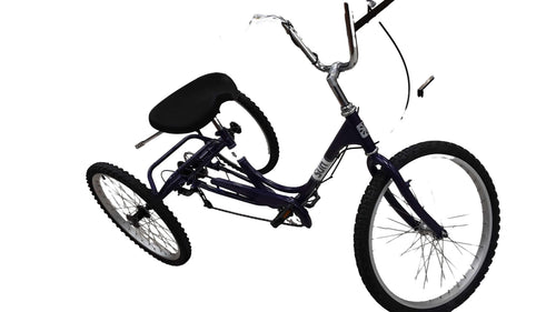 Sun Purple Tricycle Bike