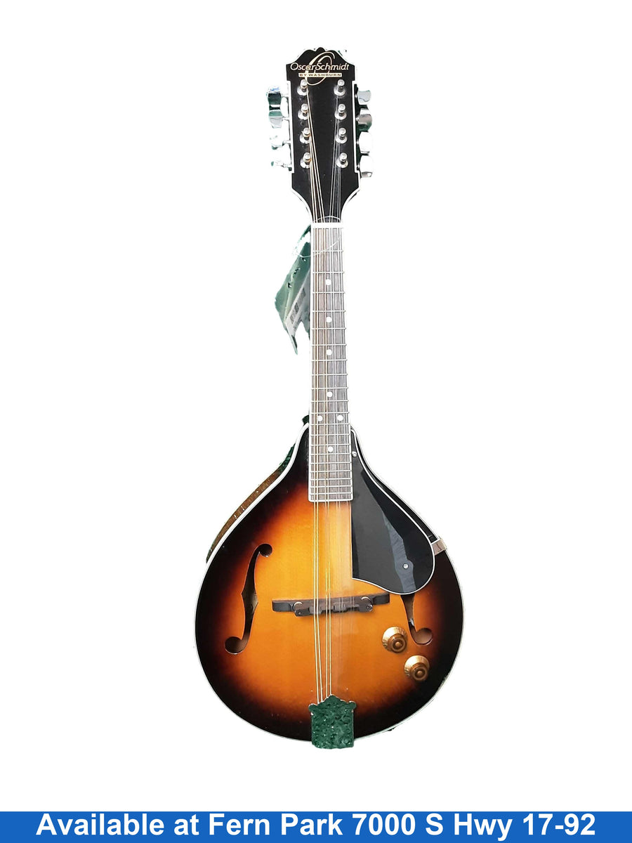 Washburn Om10ests Brown Mandolin