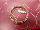 Bangle Bracelet - Yellow Gold 10k (.417) 16.3 grams 8 inch