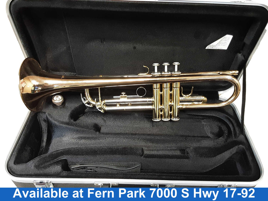 Giardinelli Gfl-301 Gold Flute