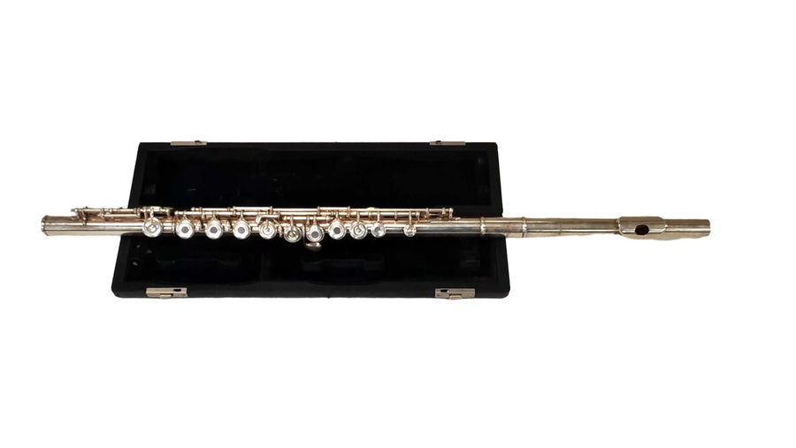 Pearl Flute Pf-505 Silver Other Wind Instrument
