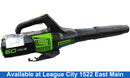 Greenworks Bl60l00 Black Cordless Leaf Blower