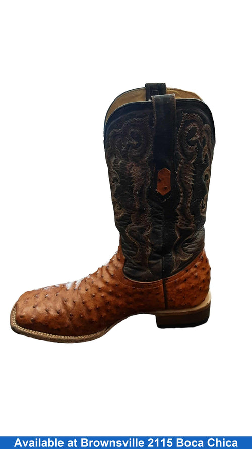 Nomf B300239 Brown