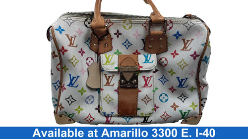 Louisvuitton White Purse / Handbag