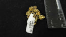 Pin / Broach Yellow Gold 18k (.750) 6.7 grams