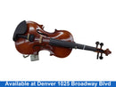 Pyle Pgviln14 Brown Violin