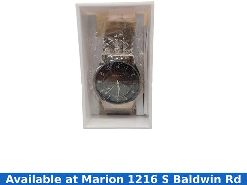 Skagen Prsk1003 Silver Regular Watch