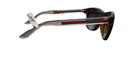 Gucci Gg3709/s Brown