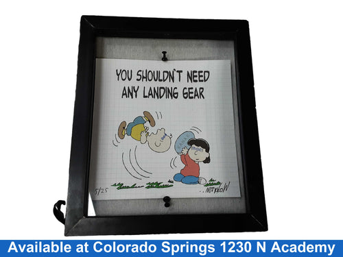 Peanuts You Shouldnt Need Any Landing Gear Multi-color Other Collectible