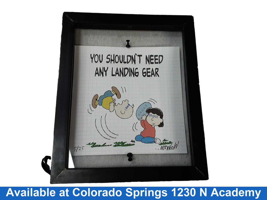 Peanuts You Shouldnt Need Any Landing Gear Multi-color Other Collectible