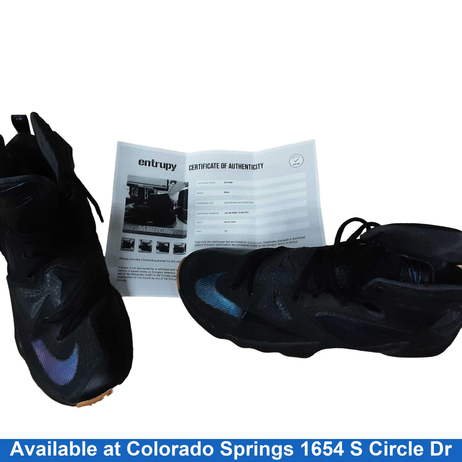Nike 807219-001 Lebron 13 Black Lions Black