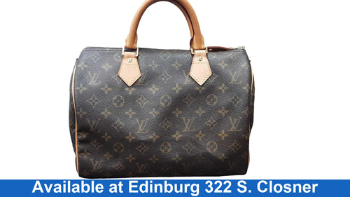 Louis Vuitton Speedy Brown Purse / Handbag
