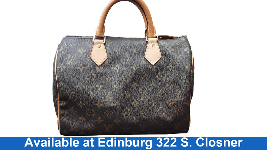 Louis Vuitton Speedy Brown Purse / Handbag