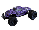 Axquter Stella Sea Lion Purple RC Car