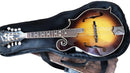 Johnson Mf300 Gold Acoustic Guitar