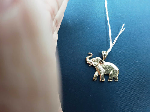 Pendant - Yellow Gold 10k (.417) 2.5 grams