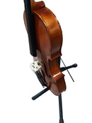 Samuel Easton Va Dd Brown Viola