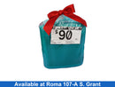 Bose Sound Color 2 Blue Portable Speaker