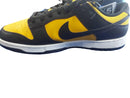 Nike Fz4618-001 Yellow