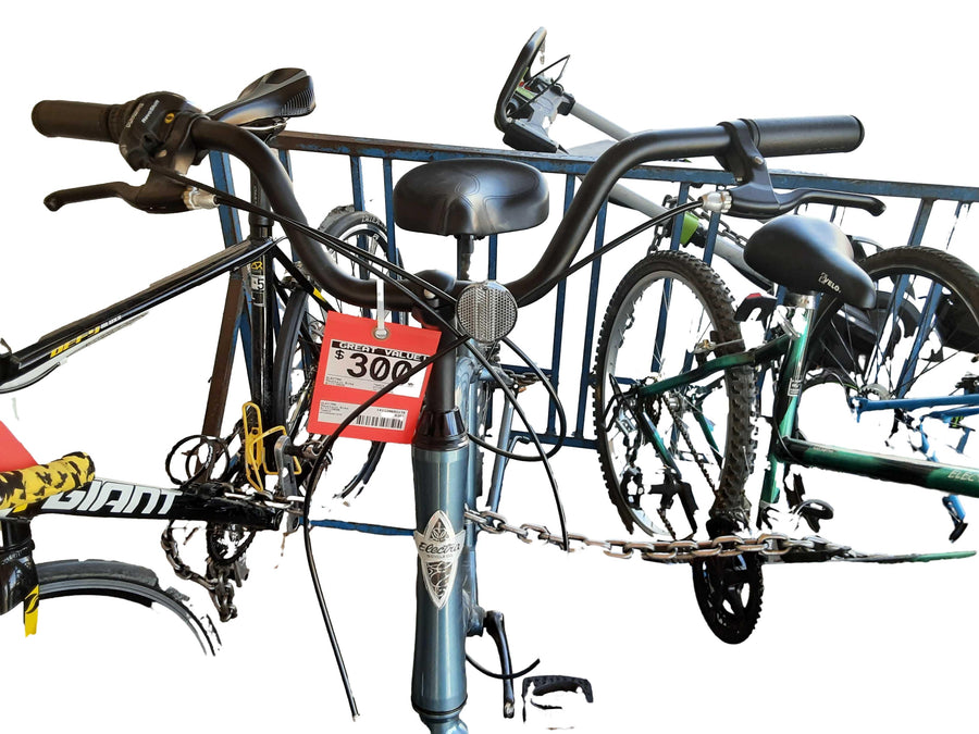 Electra Townie Blue Mountain Bike