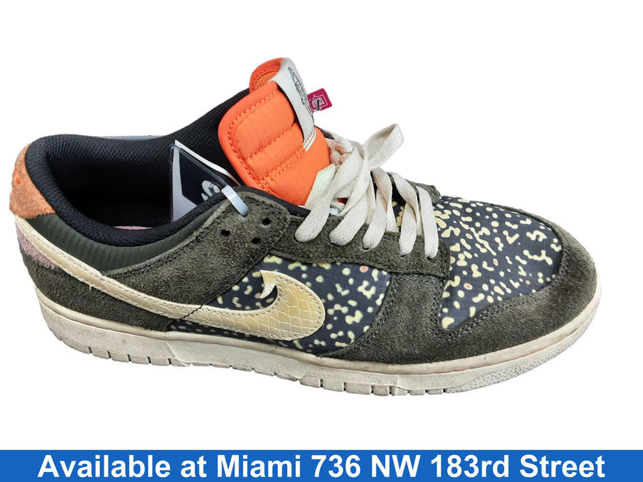 Nike Fn7523-300 Multi-color