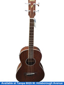Ibanez Pnb14e-opn Brown Acoustic / Electric Classic Guitar