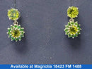 Earrings - Silver 3 grams