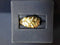Yellow Gold 10k (.417) 3.3 grams Size 7