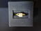 Yellow Gold 10k (.417) 2.1 grams Size 6