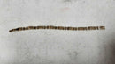 Tennis Bracelet - Yellow Gold 14k (.585) 19 grams 7 inch