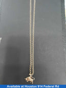 Chain - Yellow Gold 10k (.417) 22.5 grams 24 inch