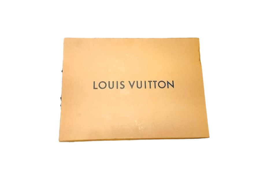 Louis Vuitton M10171 Brown Purse / Handbag