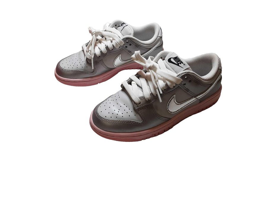 Nike Hm3698-006 Silver